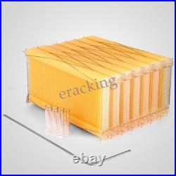 7X Upgraded Auto Flow Honey Beekeeping Beehive Bee Comb Hive Frames Harvesting