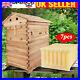 7X_Upgraded_Auto_Flowing_Honey_Frame_Wooden_Bee_Hive_House_Comb_Beehive_Box_Kit_01_bg