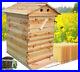 7_Auto_Flowing_Honey_Wooden_Hive_Frames_Beehive_Beekeeping_Frames_Bee_House_Box_01_lzw