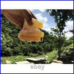7 PCS Auto Frames Honey Comb Beekeeping Starter Beehive for Harvest More Honey