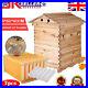 7_PCS_Auto_Honey_Bee_Comb_Hive_Frames_Beekeeping_Wooden_Super_Brood_Box_House_UK_01_jnx