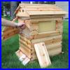 7_PCS_Auto_Run_Flow_Beehive_Frames_Or_Practical_Wooden_Beekeeping_Beehive_House_01_liw