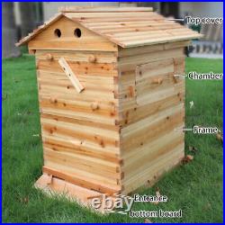 7 PCS Free Flow Honey Hive Beehive Frames + Unique Beehive House Cedarwood Box