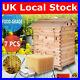 7_Pcs_Auto_Honey_Hive_Beehive_Frames_Beekeeping_Wooden_House_Up_Box_1_Set_01_pw