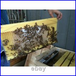 7 Pcs Upgraded Free Flow Honey Bee Beehive Frames+Beekeeping Brood Cedarwood Box