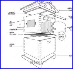 7 Upgraded Auto Seeping Honey Frame +Wooden Bee Hive House Comb Beehive Box Kit