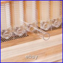 7 Upgraded Auto Seeping Honey Frame +Wooden Bee Hive House Comb Beehive Box Kit