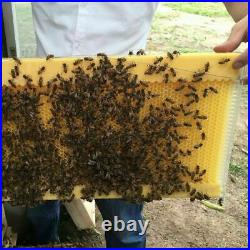 7x Auto Run Honey Beekeeping Beehive Bee Comb Hive Frames Harvesting Food-grade