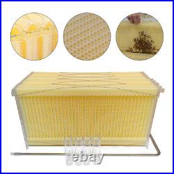 8PCS Auto Honey Hive Frames Beekeeping Beehive Livestock Supplies+2x Key Tool