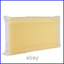 8PCS Honey Hive Frames Beekeeping Beehive Livestock Supplies+8x Tubes Tool Kit
