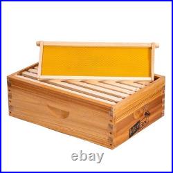 8-Frame Beehive Box Langstroth Medium Super Bee Box for Sale Wax Coated Bee Hive