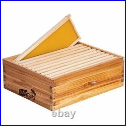 8-Frame Beehive Box Langstroth Medium Super Bee Box for Sale Wax Coated Bee Hive