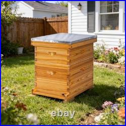 8-Frame Beehive Complete Bee Hive Boxes Starter Kit Dipped 1 Count (Pack of 1)