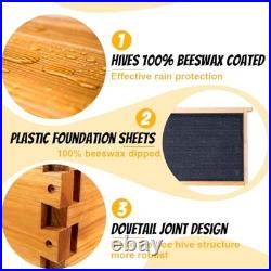 8-Frame Beehive Complete Bee Hive Boxes Starter Kit Dipped 1 Count (Pack of 1)