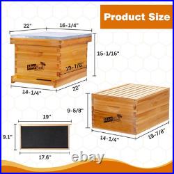 8-Frame Beehive Starter Kit, Bee Hive Kit Dipped in Beeswax, Bee Hives Boxes Sta