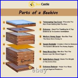 8 Frame Langstroth Bee Hive Coated with 100% Beeswax Includes Beehive Frames