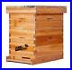 8_Frame_Wax_Coated_Beehive_Starter_Kit_Box_with_Frames_Beeswaxed_Foundations_DIY_01_kscd