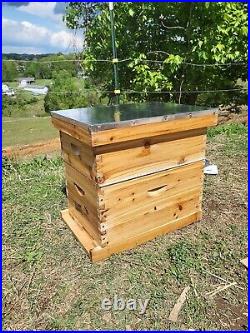 8-Frame Wax Coated Beehive Starter Kit Box with Frames Beeswaxed Foundations DIY