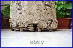Antique French Bee Skep Handwoven Straw Beehive Rustic Farmhouse Garden Decor