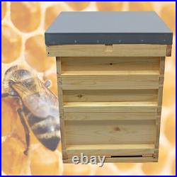 Assembled National Bee Hive Pine Bee Keeping 2 Super 1 Brood Beekeeping Apiary