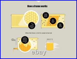 Auto Flow Hive Beehive Starter Kit with 7x Flow Frames for Beekeeping Painted