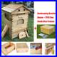 Auto_Flow_Honey_Beehive_7_Flow_Frames_Cedarwood_Beehive_UK_Beekeeping_01_kkdy