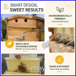 Auto Flow Honey Beehive Set 7x Flow Frames Cedarwood Wax Dip UK Beekeeping