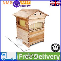 Auto Flow honey beehive set (wooden beehive + 7x flow frames + brood frames)