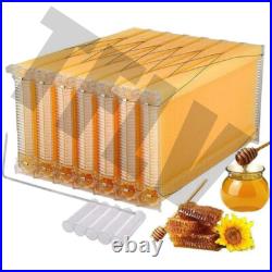 Automatic Self-Flowing Plastic Beehive Frames Set for Beekeeping Equipment