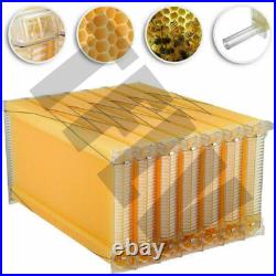 Automatic Self-Flowing Plastic Beehive Frames Set for Beekeeping Equipment