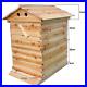 Automatic_Wooden_Bee_Box_Bee_Hive_House_Beekeeping_Equipment_Beekeeper_01_hadl