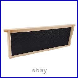 BROLEO Beehive Frames And Beehive Frames And Kit Beautiful Appearance Exquisite