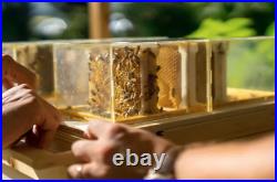 B-box 1st Ever Urban Bee Hive Designed For Home Beekeeping NEW