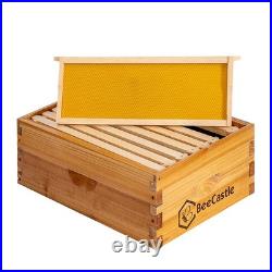 BeeCastle 8 Frame Medium Bee Hive Super Box Langstroth Honey Beeswax Coated