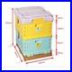 BeeHive_Plastic_Langstroth_2_Layers_no_Any_Frames_INSULATED_Plastic_Beehive_01_wx