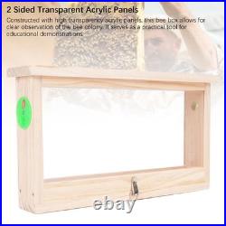 Bee Breeding Box Double Sided Acrylic Board Wooden Bee Hive Observation B PHA Bee Breeding Box Double Sided Acrylic Board Wooden Bee Hive Observation B PHA
