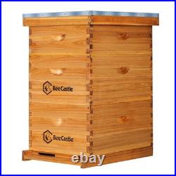 Bee Hive 10 Frame Langstroth Coated Beeswax 2 Deep 1 Medium BeeCastle Beehive