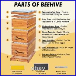Bee Hive 10 Frame Langstroth Coated Beeswax 2 Deep 1 Medium BeeCastle Beehive
