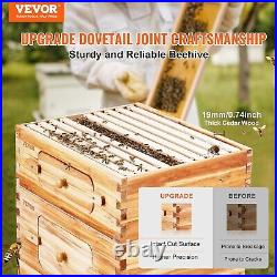 Bee Hive 30 Frame Bee Hives Starter Kit, Beeswax Coated Cedar Wood, 2 Deep +