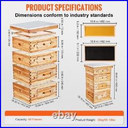 Bee Hive 40 Frame Starter Kit Cedar Wood 2 Deep 2 Medium Boxes Acrylic Windows Bee Hive 40 Frame Starter Kit Cedar Wood 2 Deep 2 Medium Boxes Acrylic Windows