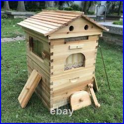 Bee Hive Beekeeping Brood Wooden House Box &7PC Easy Flowing Auto Beehive Frames