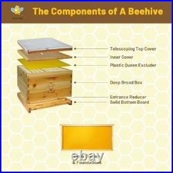 Bee Hive Box Kit 10 Frame Beehive, Beeswax Coated, Complete Beekeeping Set
