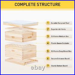 Bee Hive Boxes 10 Frame Langstroth Beehive, Bee Keeping Starter Kit Includes