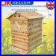 Bee_Hive_House_Super_Brood_2_Layer_Bee_Keeping_Box_House_7pcs_Bee_Hive_Frames_UK_01_pzoz