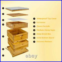 Bee Hives Coated Bee Hive Starter Kit 10-Frame Langstroth Beehive