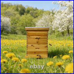 Bee Hives Coated Bee Hive Starter Kit 10-Frame Langstroth Beehive