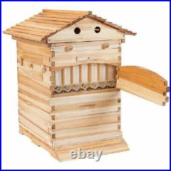 Bee House Flowing Honey Hive Beehive Frames + Beekeeping Brood Made in UK