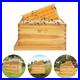 Bee_Incubator_Beekeeping_Box_with_Nest_Frame_Foundation_5_Frame_Bee_Hive_Box_Kit_01_bcwq