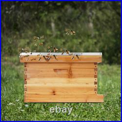 Bee Incubator Beekeeping Box with Nest Frame&Foundation 5-Frame Bee Hive Box Kit Bee Incubator Beekeeping Box with Nest Frame&Foundation 5-Frame Bee Hive Box Kit