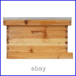 Bee Incubator Beekeeping Box with Nest Frame&Foundation 5-Frame Bee Hive Box Kit Bee Incubator Beekeeping Box with Nest Frame&Foundation 5-Frame Bee Hive Box Kit